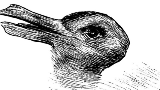 #EsViral: ¿qué animal ves en esta imagen?