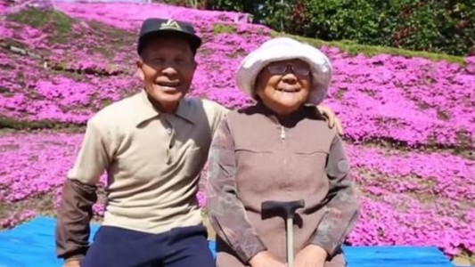 Plantó miles de flores para su esposa ciega y su jardín se convirtió en un boom turístico
