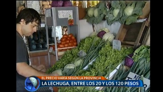 La lechuga, entre los 20 y 120 pesos