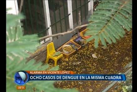 Vecinos denuncian un brote de dengue en una cuadra de Vicente López