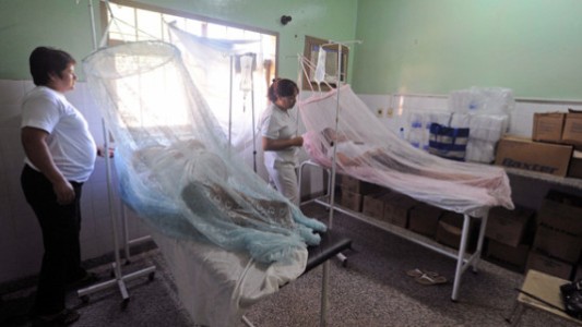 El Gobierno dijo que el dengue "llegó para quedarse"