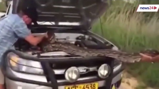 #EsViral Una sorpresa en el motor