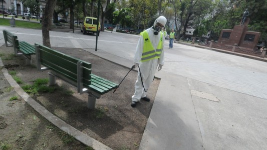 Dengue: "Estamos en el ápice del brote", afirmó el ministro de Salud