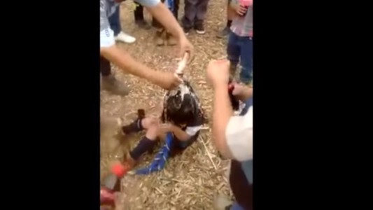 #LadyBullying el video que muestra la agresión a una niña de 7 años que indigna a las redes sociales