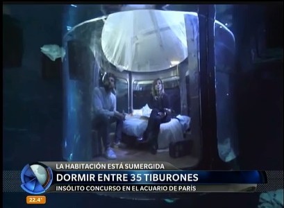 Una noche entre tiburones