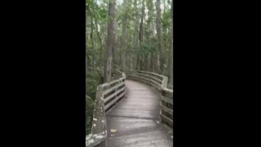 El inesperado encuentro de una mujer durante un paseo que aterroriza a Facebook