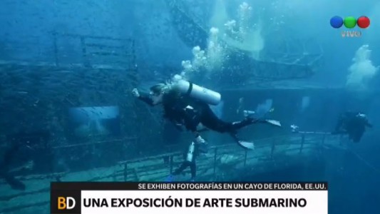 Una exposición de arte submarino