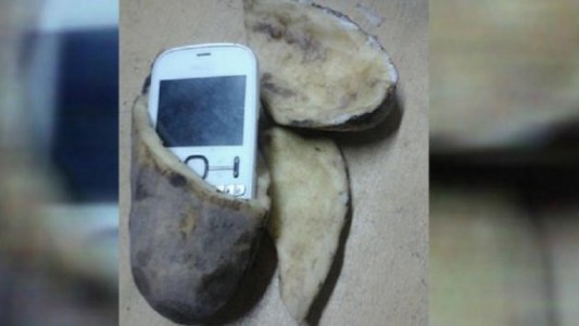 Intentaron entrar un celular en una papa en una cárcel de Santa Fe