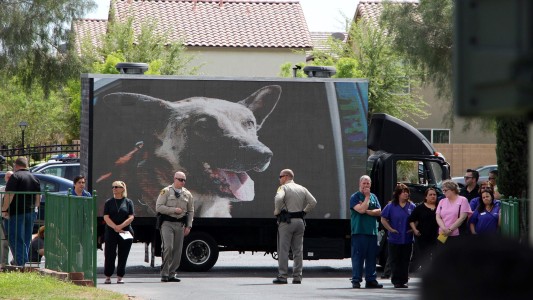 #EsViral El emotivo funeral de un perro policía muerto en un tiroteo