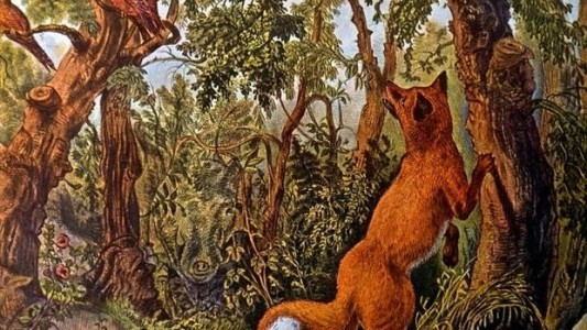 Un desafío viral óptico en una foto de hace 144 años: ¿cuántos rostros humanos y de animales ves?