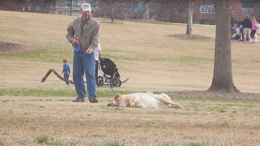 Video: el perro que se hace el “muerto” para quedarse un rato más en el parque