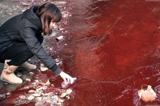 El 80% del agua subterránea de China está contaminada por el uso de agrotóxicos