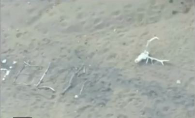 Una mujer de 72 años sobrevivió nueve días en el desierto