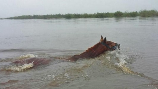 Está cortada la ruta nacional 19 en el noroeste de Córdoba por inundaciones