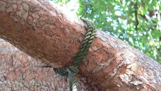 India: Le cortó las manos al violador de su beba