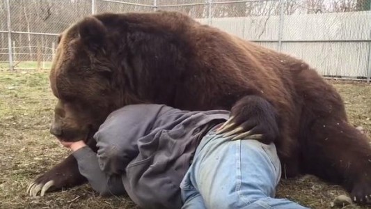 #EsViral El cuidador que se hizo amigo del oso