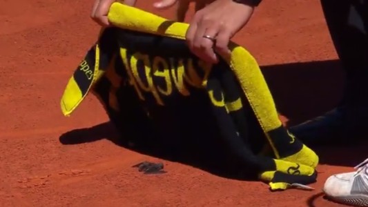 Video: Mayer atrapó un murciélago durante el partido del ATP de Madrid