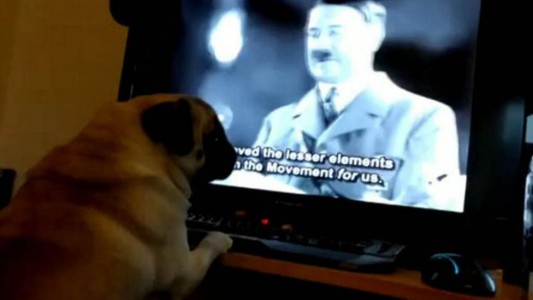 Lo detuvieron por enseñarle a su perro a hacer el saludo nazi