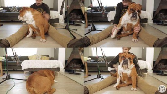 El joven que hace música con el cuerpo de su perro