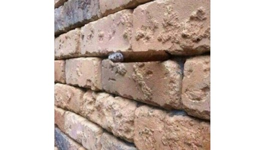 Acertijo viral: ¿qué "esconde" esta pared?