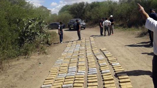 Encontraron 77 kilos de cocaína en un monte de Santiago del Estero