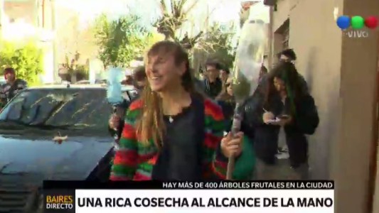 Frutas ocultas: el arbolado público ofrece una rica cosecha al alcance de la mano