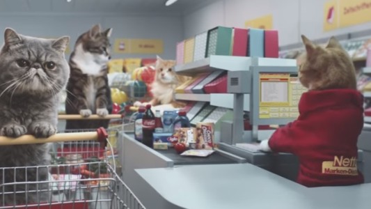 #VideoViral Gatos en un supermercado desatan locura en las redes sociales