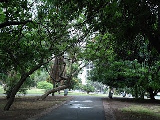 Así estará el tiempo en la ciudad el fin de semana largo