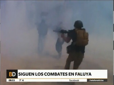 Enfrentamientos en Faluya, Irak