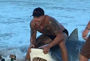 Impactante video: le sacan el anzuelo a un tiburón y lo devuelven al mar