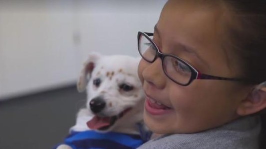 La tierna historia de la nena y el cachorro sordos que se comunican por lenguaje de señas