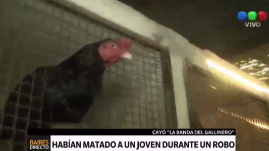 Cayó la "Banda del Gallinero"