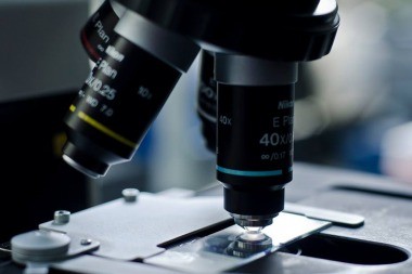 Convivir con algunos microbios es bueno para la salud