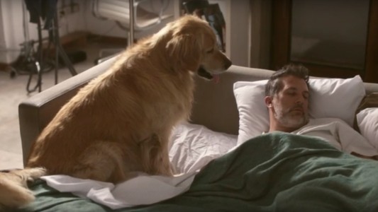 "Seamos inclusivos, seamos más perros": Una campaña que busca la inclusión de las personas con padecimientos mentales