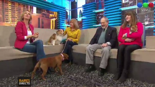 Cómo cuidar a tus mascotas