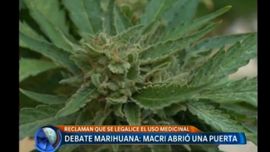 Debate marihuana: Macri abrió una puerta
