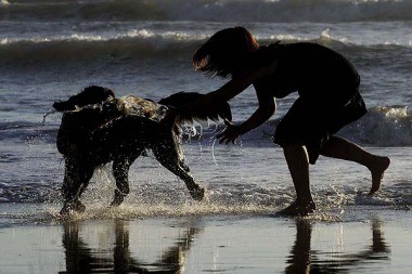 El municipio de Pinamar propone playa para perros