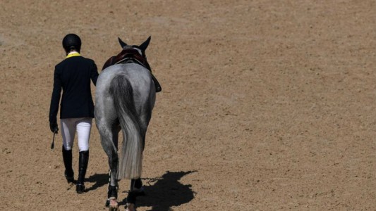Rio 2016: los descalificaron de competencia ecuestre al encontrar sangre en sus caballos