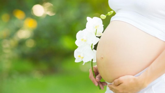 Justicia ordenó a obra social de Santa Fe cubrir tratamiento de fertilización a una mujer soltera