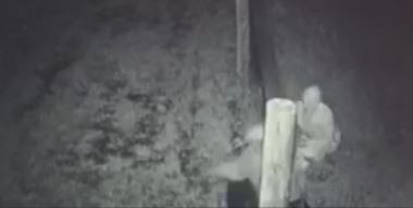 Procesaron a dos presos que intentaron robar en plantaciones de marihuana en Uruguay