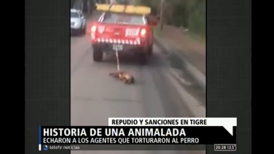 Historia de una "animalada"