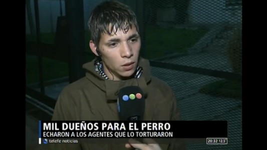 Mil dueños para el perro