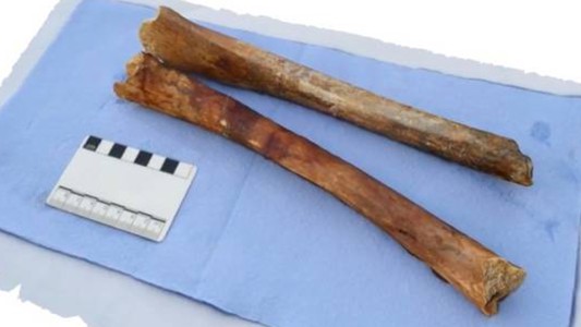 Encuentran un esqueleto de hace 2.000 años en un barco hundido