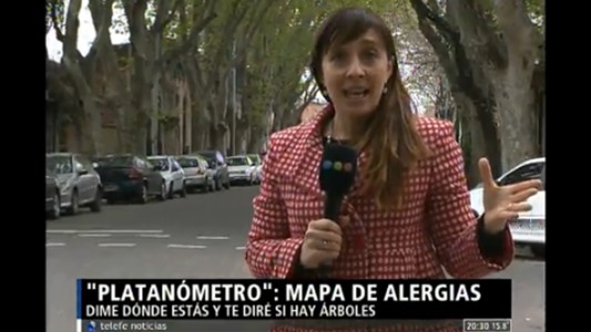"Platanómetro": mapa de alergias