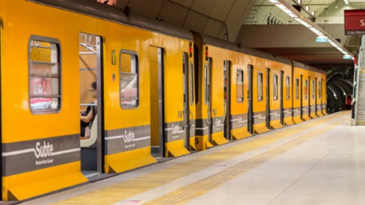 Evalúan permitir mascotas en el subte: ¿estás de acuerdo?