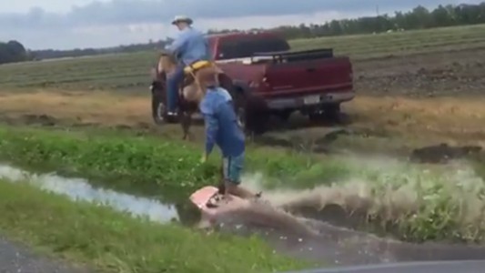 Insólito: un joven practicó esquí acuático arrastrado por un caballo