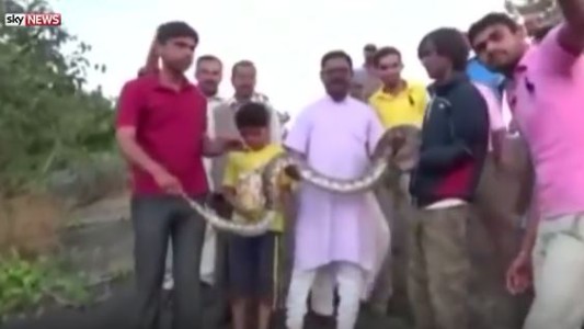 Se sacaron una selfie con una serpiente y todo terminó en tragedia