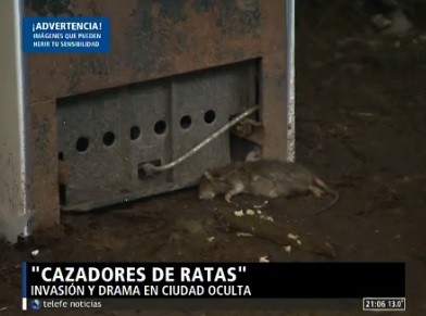 Cazadores de ratas