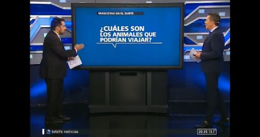 Mascotas en el subte: ¿qué animales podrían viajar?