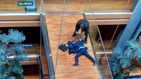 Un diputado europeo se agarró a las trompadas con otro legislador del partido